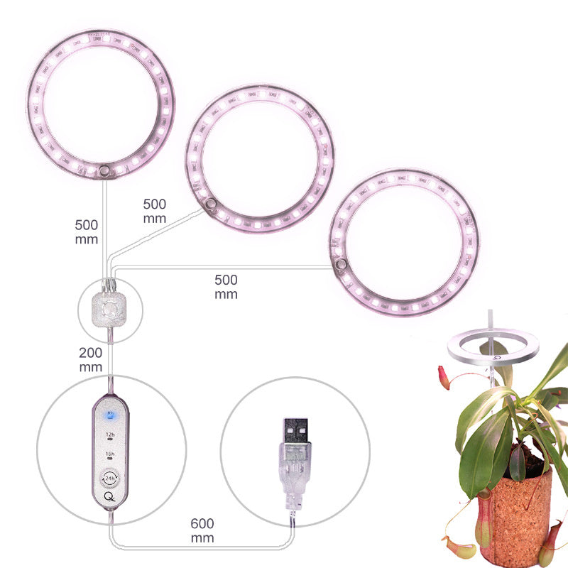 Indoor Flower Greenhouse Plant Seedling